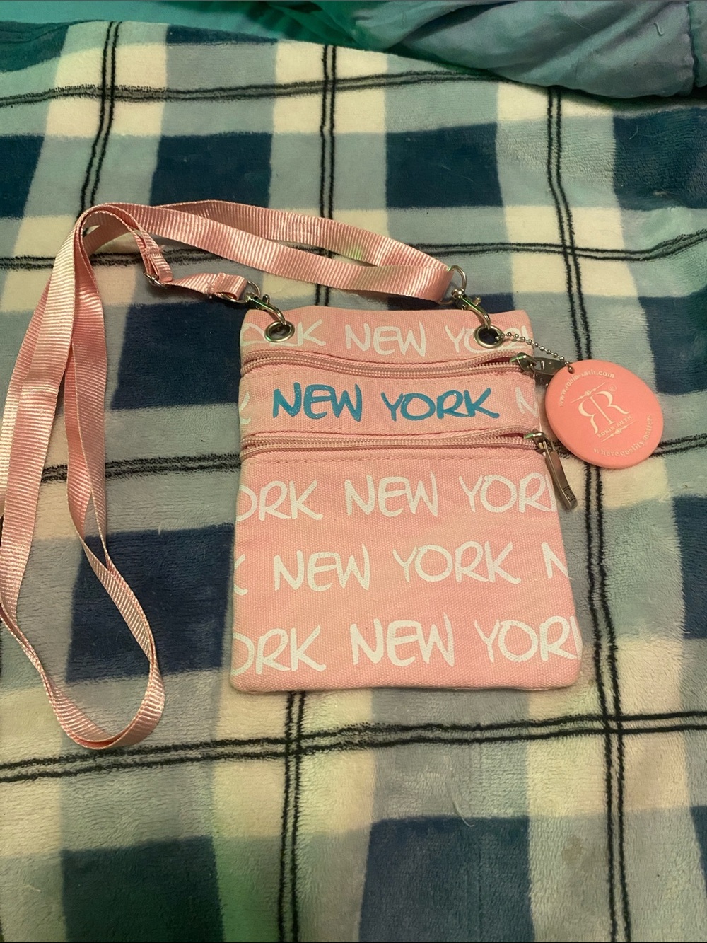 Robin Ruth Pink 'New York' Crossbody Pouch